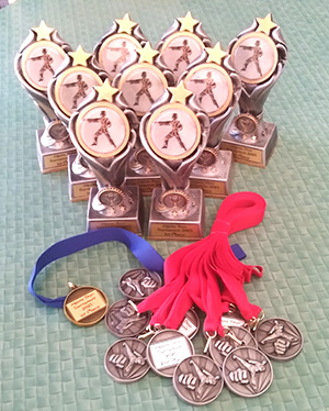 Alpine Dojo Tournament