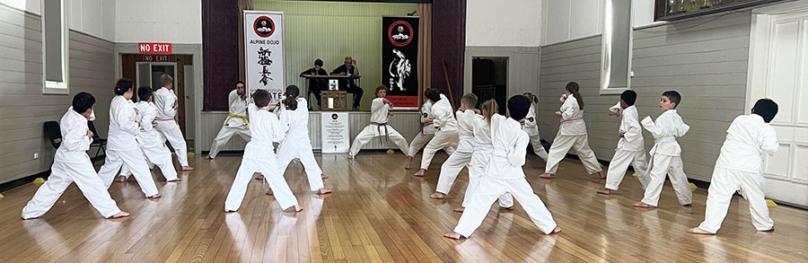 Alpine Dojo Grading